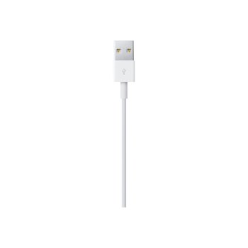 Apple Lightning-Kabel - Lightning männlich zu USB männlich