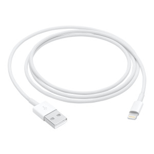 Apple Lightning-Kabel - Lightning männlich zu USB männlich