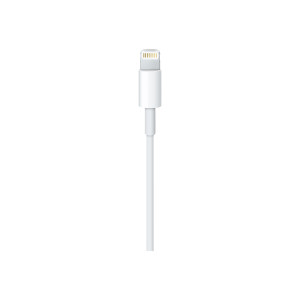 Apple Lightning-Kabel - Lightning männlich zu USB männlich