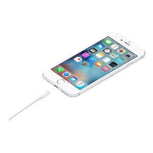 Apple Lightning-Kabel - Lightning männlich zu USB männlich