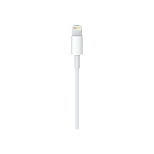 Apple USB-C to Lightning Cable - Lightning-Kabel - 24 pin USB-C männlich zu Lightning männlich - 1 m - für iPad/iPhone/iPod (Lightning)