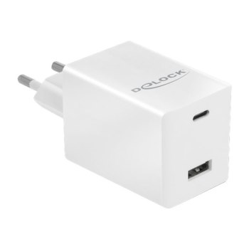 Delock Power adapter - 48 Watt