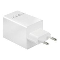 Delock Power adapter - 48 Watt