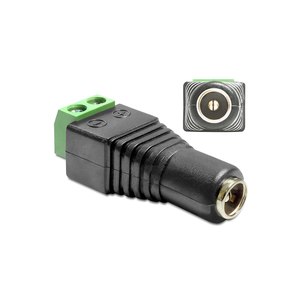 Delock Power adapter - 2 pin terminal block (F) to DC...