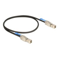 Delock SAS external cable - SAS 12Gbit/s