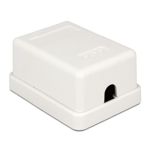 Delock Surface mount outlet