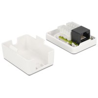 DeLOCK - Wanddose - RJ-45 - weiß