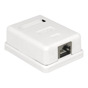 DeLOCK - Wanddose - RJ-45 - weiß