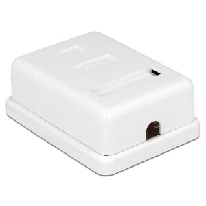 DeLOCK - Wanddose - RJ-45 - weiß