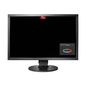 EIZO ColorEdge CG2420 - LED-Monitor - 61.1 cm (24.1") - 1920 x 1200 @ 60 Hz - IPS - 400 cd/m² - 1500:1 - 10 ms - HDMI, DVI-D, DisplayPort - Schwarz