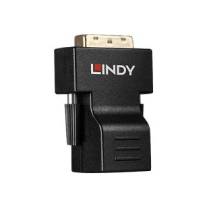 Lindy Extender CAT5e/6 DVI Extender - Video Extender