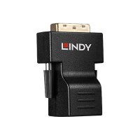 Lindy Extender CAT5e/6 DVI Extender - Video Extender
