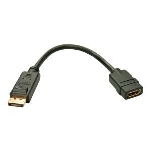 Lindy Video- / Audio-Adapter - DisplayPort (M)