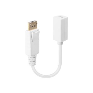 Lindy DisplayPort-Adapter - DisplayPort (M)