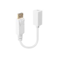 Lindy DisplayPort-Adapter - DisplayPort (M)