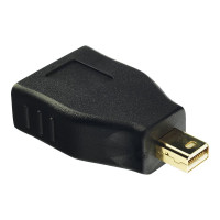 Lindy DisplayPort-Adapter - Mini DisplayPort (M)