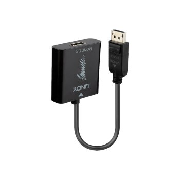 Lindy Video- / Audio-Adapter - DisplayPort (M)