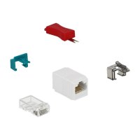 DeLOCK Secure Clip Starter Set - LAN-Kabel Sicherheitsschloss-Set