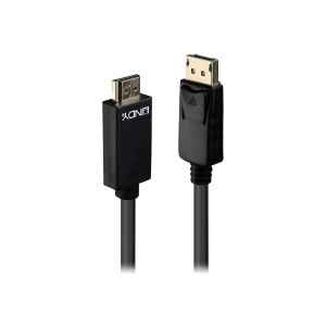 Lindy Video / audio cable - DisplayPort (M) latched to...