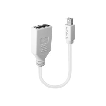 Lindy DisplayPort-Adapter - Mini DisplayPort (M)