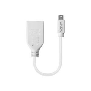 Lindy DisplayPort-Adapter - Mini DisplayPort (M)