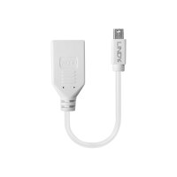 Lindy DisplayPort-Adapter - Mini DisplayPort (M)