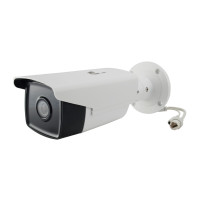 LevelOne FCS-5092 - Network surveillance camera