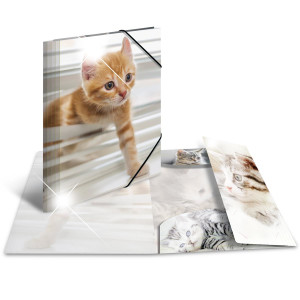 HERMA 19328 - Conventional file folder - A4 - Polypropylene (PP) - Multicolour - Glossy - Portrait