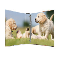 HERMA 19358 - Conventional file folder - A4 - Cardboard - Multicolour - Portrait - 3.5 cm