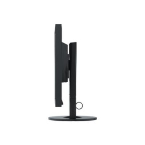 EIZO FlexScan EV2430-BK - LED monitor