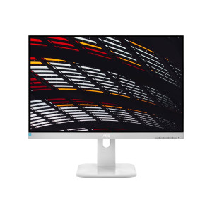 AOC 24P1/GR - LED monitor - 23.8"