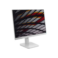 AOC 24P1/GR - LED monitor - 23.8"