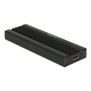 Delock memory enclosure - M.2 card - USB 3.1 (Gen 2)