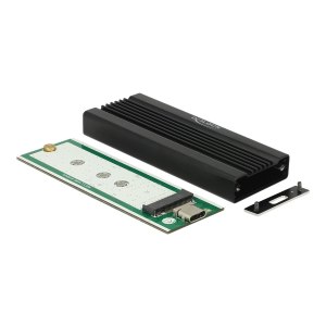 DeLOCK - Speichergehäuse - M.2 Card - USB 3.1 (Gen 2) - Schwarz