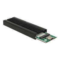 Delock memory enclosure - M.2 card - USB 3.1 (Gen 2)