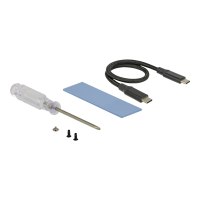 DeLOCK - Speichergehäuse - M.2 Card - USB 3.1 (Gen 2) - Schwarz