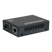 LevelOne GVT-2012 - Fibre media converter