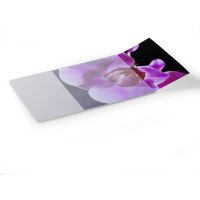 Durable PLUS - Mouse pad - transparent