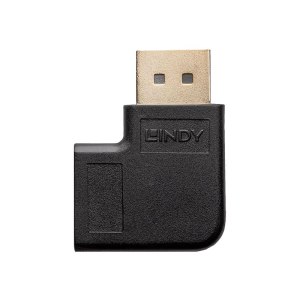 Lindy DisplayPort-Adapter - DisplayPort (M)