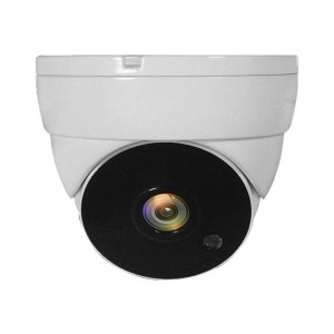 LevelOne ACS-5302 - Überwachungskamera - Kuppel -...