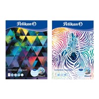 Pelikan 236782. Typ: Kunstdruckpapierblock, Blätteranzahl: 20 Blätter, Empfohlenes Geschlecht: Junge/Mädchen