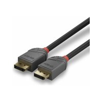 Lindy Anthra Line - DisplayPort-Kabel - DisplayPort (M)