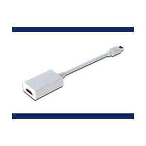 DIGITUS DisplayPort Adapter / Konverter