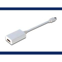 DIGITUS DisplayPort Adapter / Konverter