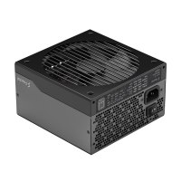 Fractal Design Ion+ 2 Platinum - Netzteil (intern) - ATX12V 2.52/ EPS12V 2.92 - 80 PLUS Platinum - Wechselstrom 100-240 V - 560 Watt - Schwarz