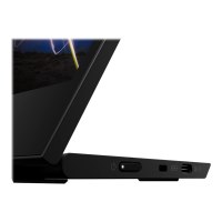 Lenovo ThinkVision M15 - 39,6 cm (15.6") - 1920 x 1080 Pixel - Full HD - LED - 14 ms - Nero