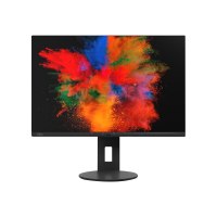 Fujitsu B2410 WS - LED-Monitor - 61.13 cm (24.1")