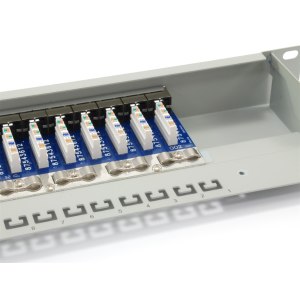 Equip 326316 - RJ-45 - Oro - Cat6 - Grigio - Montaggio a rack - 1U