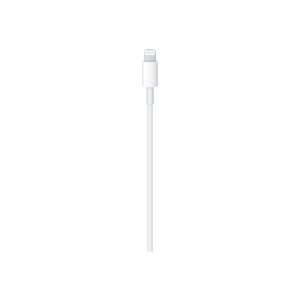 Apple Lightning cable - 24 pin USB-C male to Lightning male