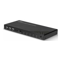 Lindy KVM / audio / USB switch